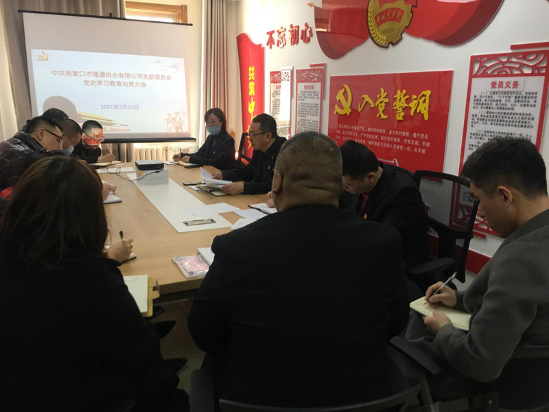 党史学习教育阶段性工作汇报.png